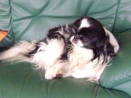 paddy_20211130_1411721761